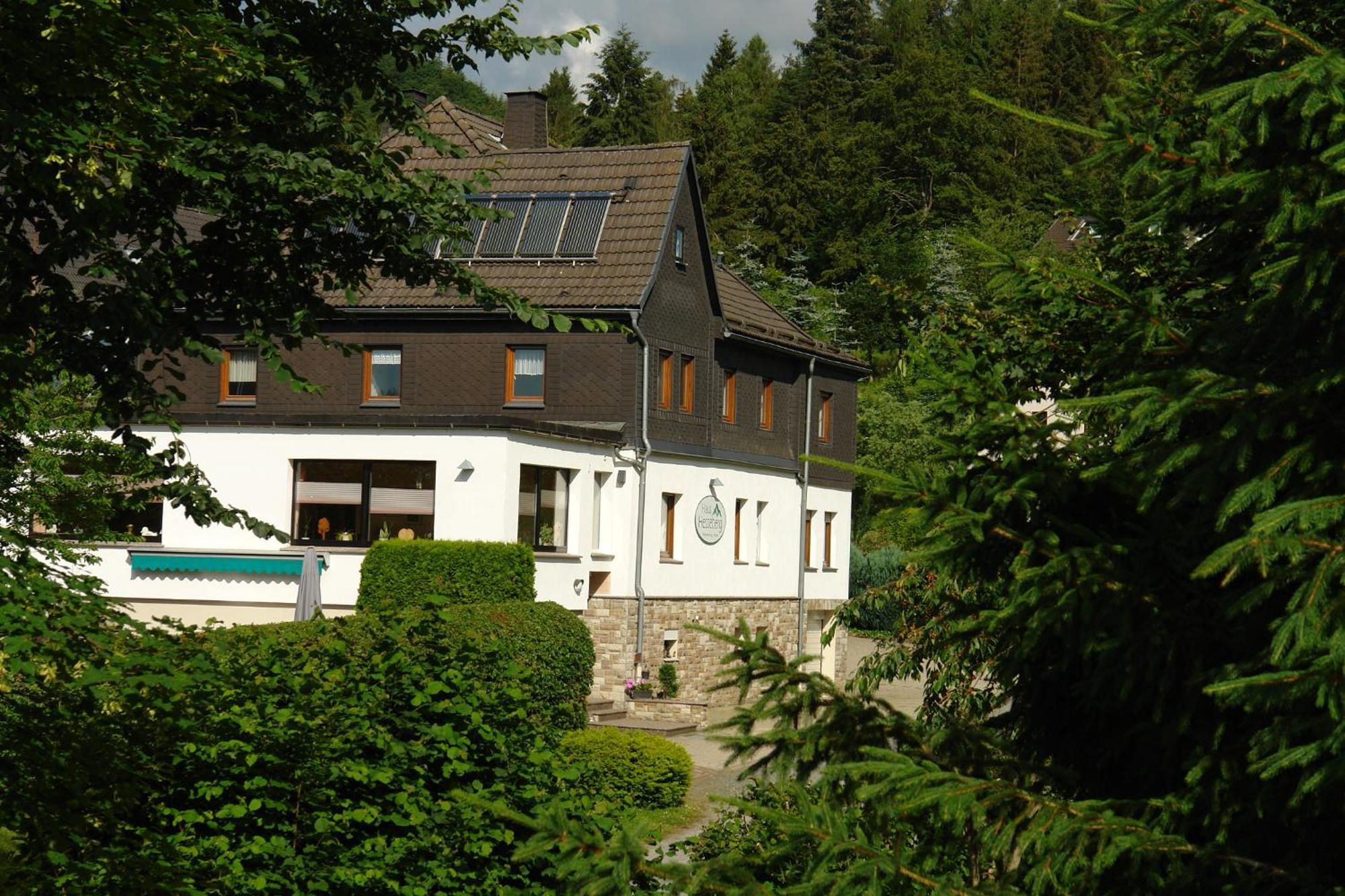 Haus Hesseberg Hotel Medebach Eksteriør billede